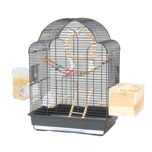 Cage pour Perroquet | Perroquet-Royal