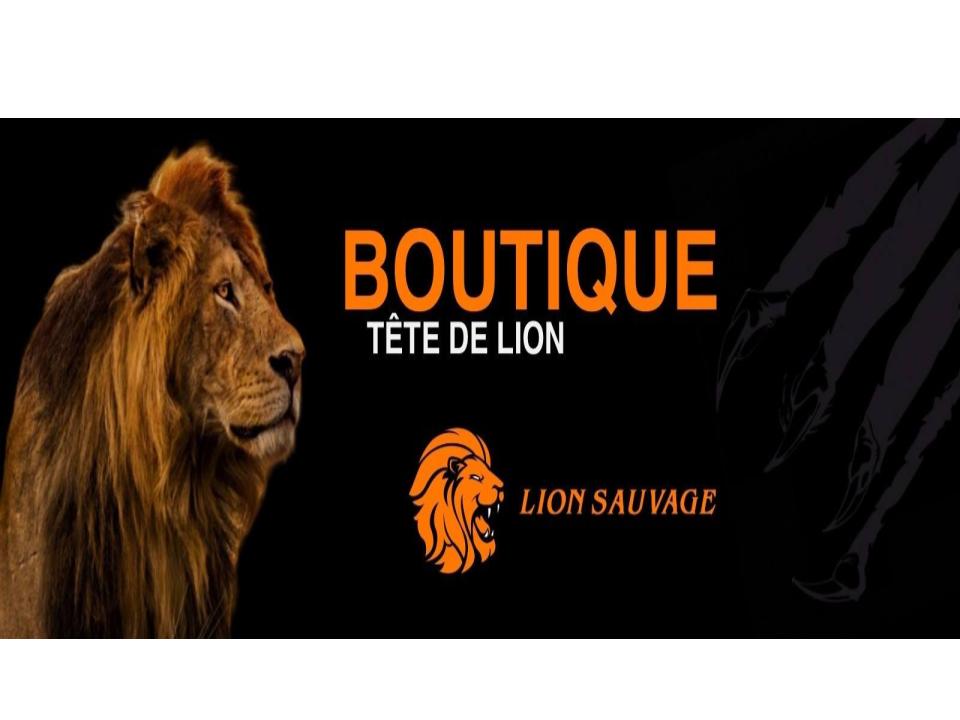 Lion Sauvage : La Boutique du Lion