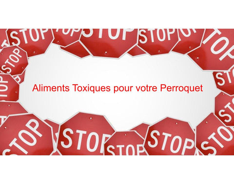 Aliments Toxiques pour les Perroquets