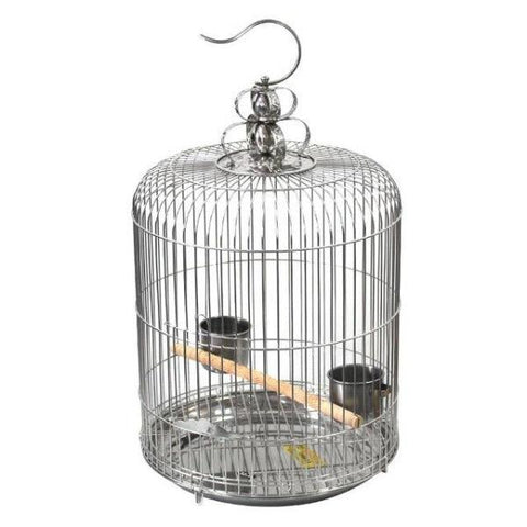 Cage à Oiseau | Perroquet-Royal