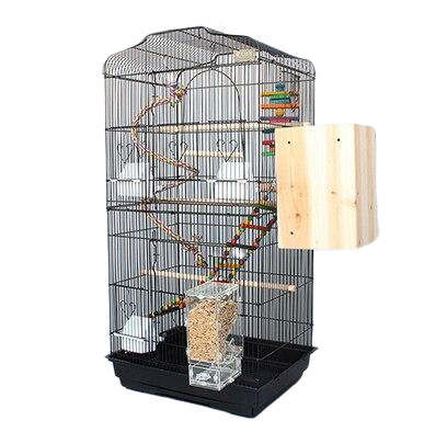 Cage Oiseau Perruche | Perroquet-Royal