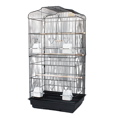 Cage Perroquet | Perroquet-Royal