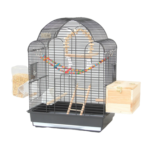 HURRISE Barre de support de perroquets 50pcs Bâton Debout de Cage à Oiseaux  en Plastique Barre Debout de Perruche Perroquets