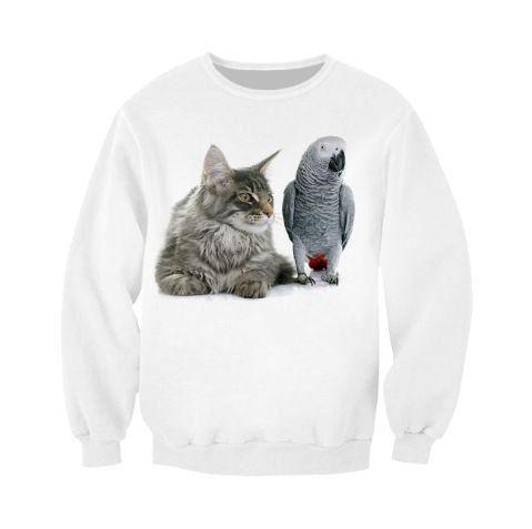 Pull Perroquet Chat | Perroquet-Royal