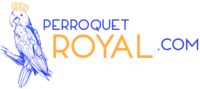 Perroquet-Royal