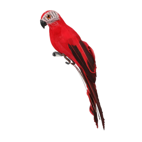 Statue Perroquet<br> John en Mousse