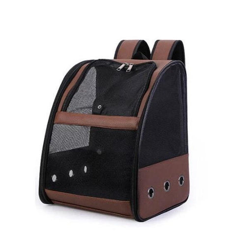 Cage de Transport pour Petit Perroquet | Perroquet-Royal